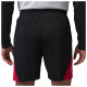 Jordan Ανδρική βερμούδα Sport Dri-FIT Shorts